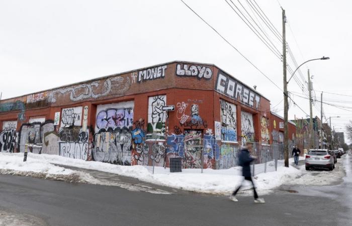 “Became the Wild West” | The number of graffiti jumps in Montreal