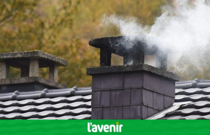 Fine particle pollution: should we stop heating with wood stoves in Wallonia?