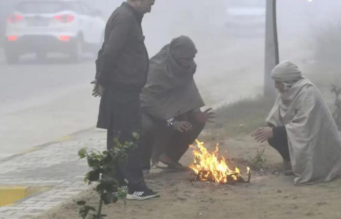 Cold wave persists in state, IMD predicts rain due to new western disturbance – India TV