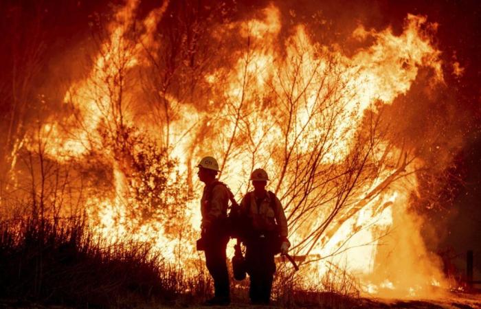 California: Fires near Los Angeles remain out of control, at least 10 dead and 10,000 buildings destroyed