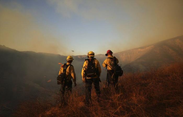 “volunteer” prisoners, private agents, … who are the firefighters who try to put out the fires?