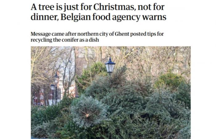 Belgium becomes the laughing stock of the world’s media after the city of Ghent proposes to eat its Christmas tree