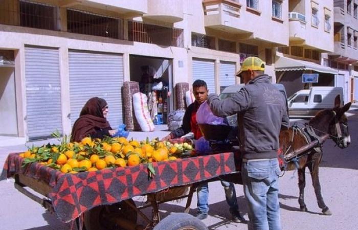 Casablanca in turmoil over street vendors – Consonews