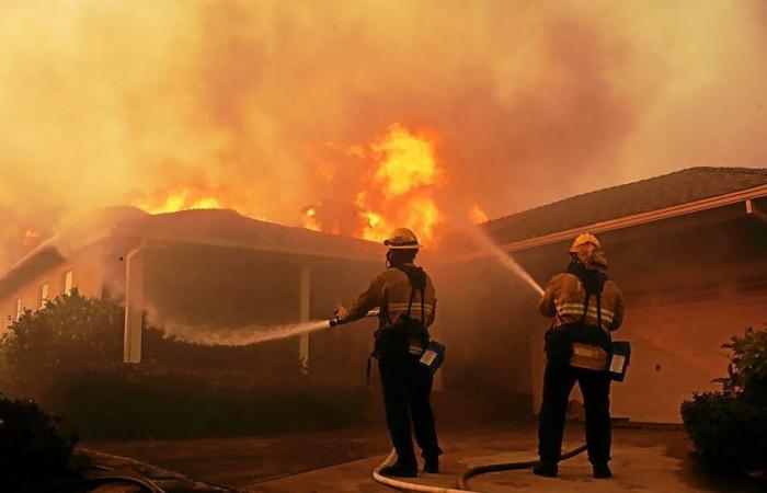 Devastating fires in Los Angeles: Laeticia Hallyday, Paris Hilton… Stars see their villas ravaged by flames