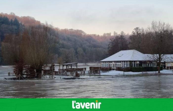 All flood alerts lifted in Wallonia but pre-alerts maintained: what is the evolution of the situation this Friday (live)