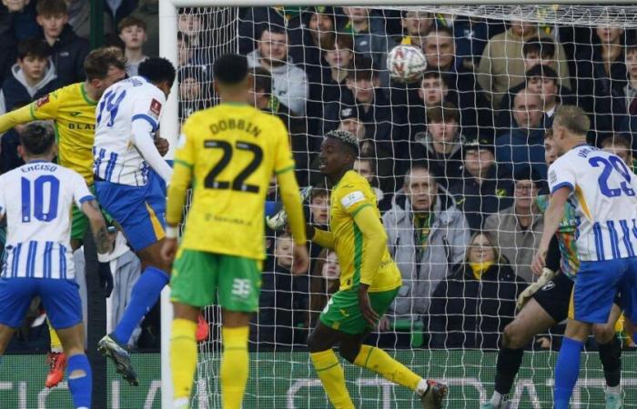 Norwich City 0-4 Brighton: Match report, player ratings