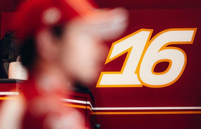 F1: the meaning of the numbers chosen by the drivers for the 2025 season