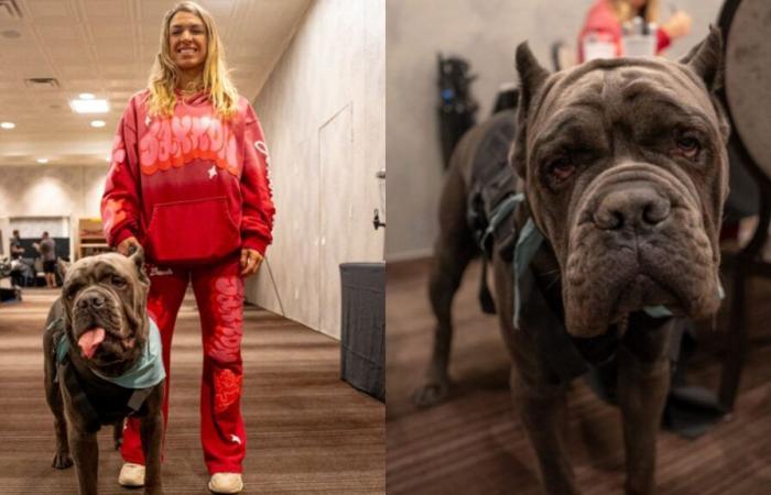 Why did Mackenzie Dern have an emotional support dog with her at UFC Vegas 101 press-conference? Will the pooch make an appearance on fight day?