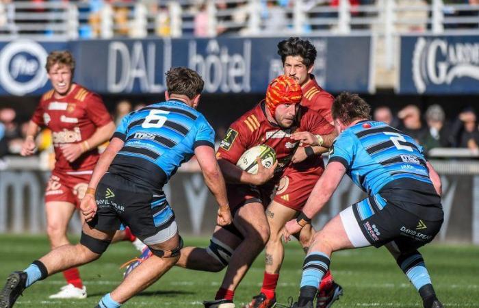 Rugby – Challenge Cup: “We have to go for qualification”, harangues Lucas Velarte after USAP’s victory against Cardiff