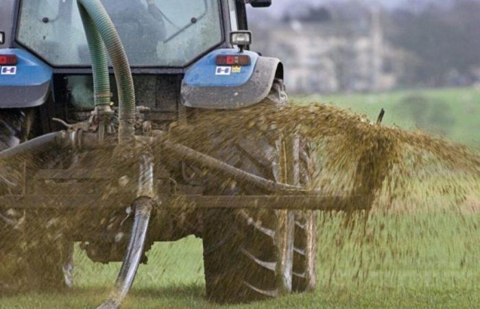 a spreading project on 200 hectares near Dieppe