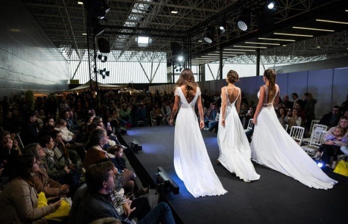 Wedding fair, concerts, tattoo convention… What to do this weekend in Toulouse?