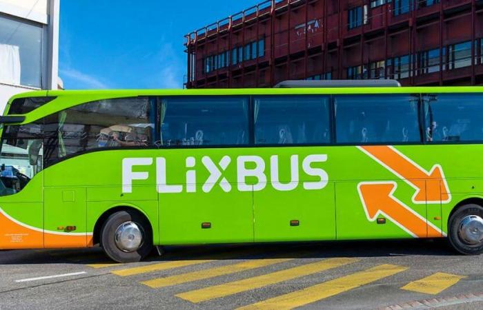 Germany: Two dead in Flixbus bus accident