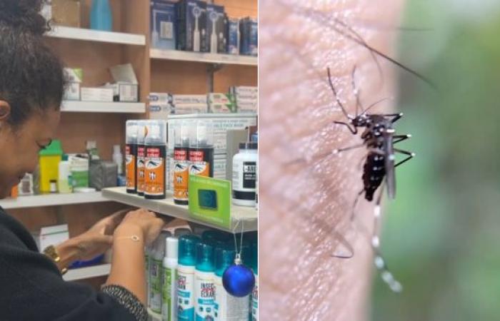 Mosquito protection: Should prices be lowered in the event of a chikungunya epidemic?