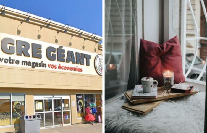 11 decorations for $20 and less at the Giant Tiger that will make you love staying home this winter