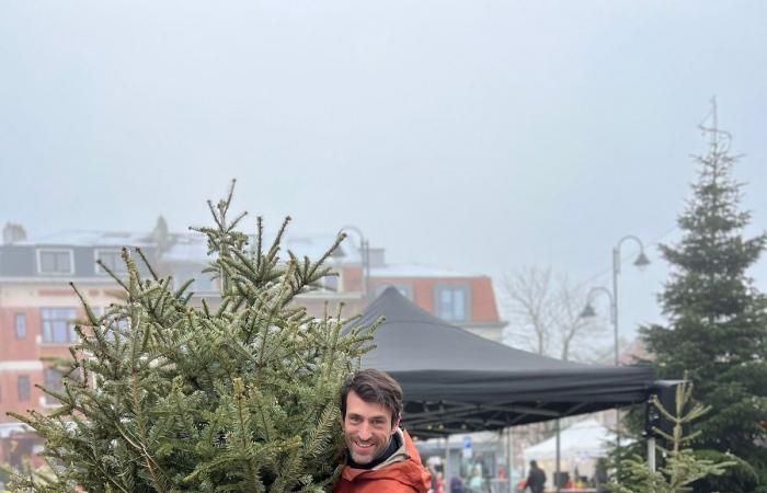 10 meters 77, record to beat! Ninth Belgian fir tree throwing championship in Auderghem: “What are these crazy people?”