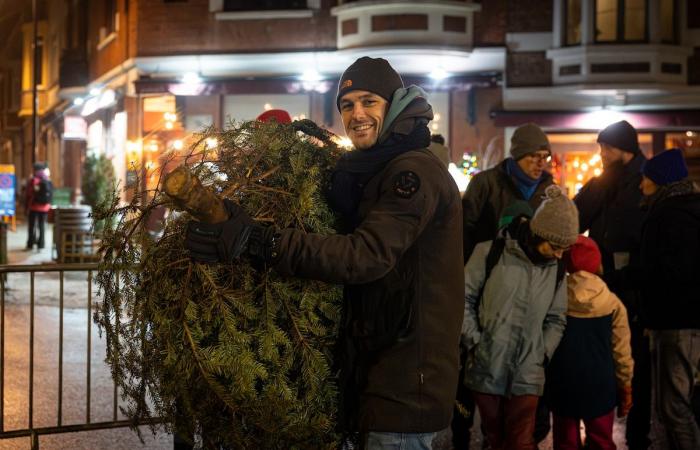 10 meters 77, record to beat! Ninth Belgian fir tree throwing championship in Auderghem: “What are these crazy people?”