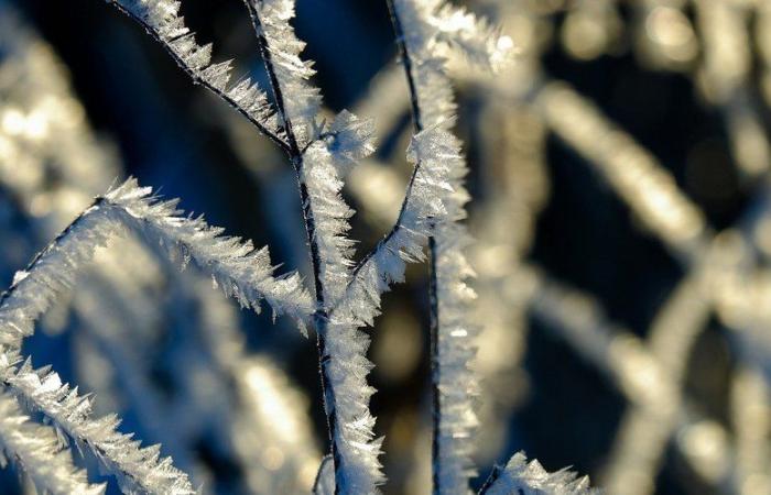 MAP. Météo France will activate “very cold” vigilance this Sunday, here are the departments concerned