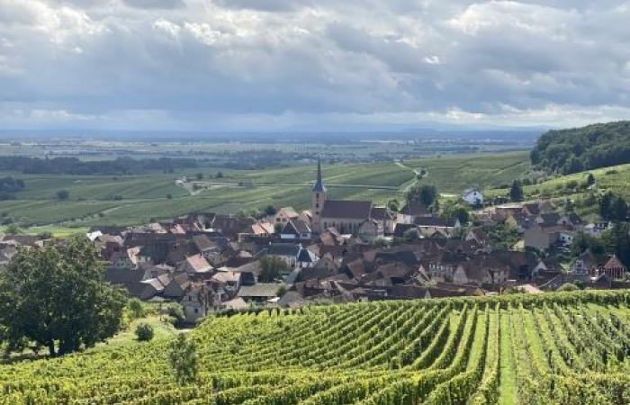 a gourmet and cultural getaway on the Alsace wine route