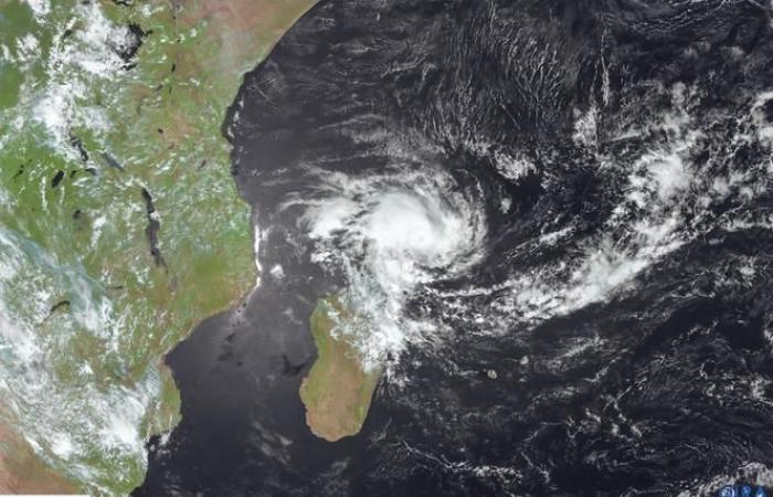 Mayotte placed on red alert since 10 p.m., as cyclone Dikeledi approaches