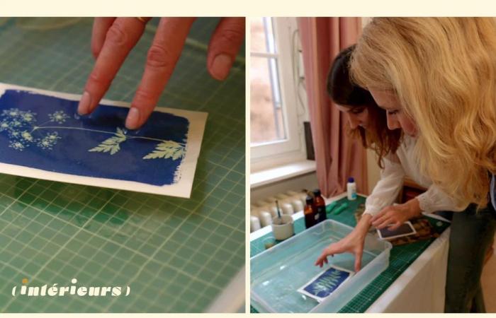 immerse yourself in the art of cyanotype, an alliance of nature and photography, when the blue becomes intense