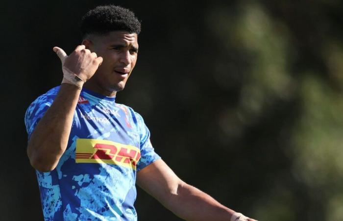 Springboks: Feinberg-Mngomezulu’s worrying update after Stormers ‘risk’ : Planet Rugby