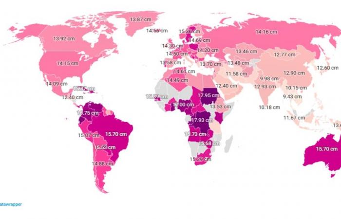 Penis size: Sudan in the lead, Switzerland 61st