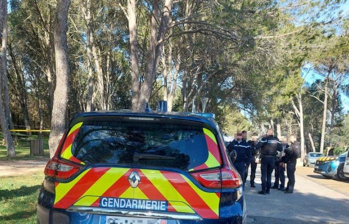 A jogger attacked in the throat with a knife in a park in Gard: the attacker on the run, the area cordoned off