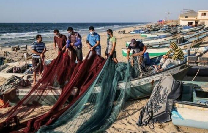 12% increase in fishing landings at the port of Lamhiriz