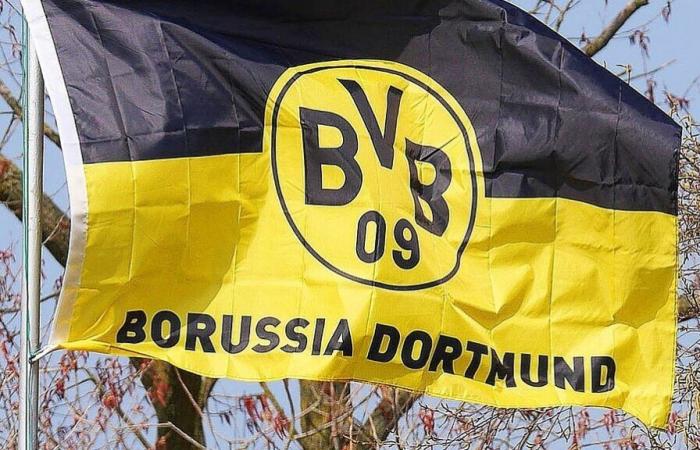 ‘Far too easy’: BVB coach struggles with core defense – 01/11/25 – News