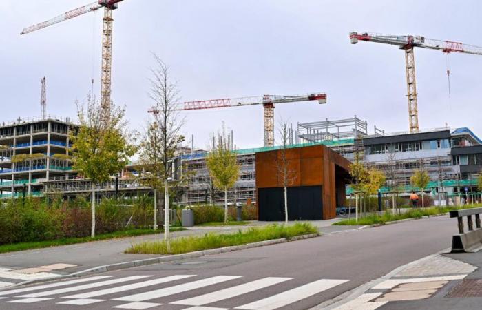 In Luxembourg: Build more and faster: government solutions