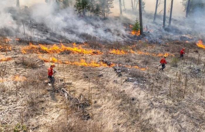 Lessons to be learned from Los Angeles fires, experts say