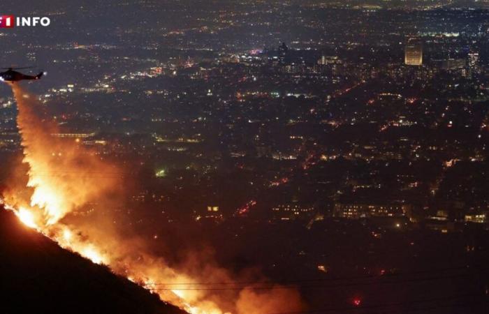 “There is nothing left”: Laeticia Hallyday publishes a video of her Los Angeles house ravaged by flames