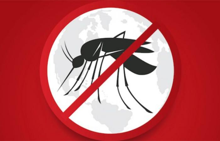 Fight against malaria: WHO prequalifies a diagnostic test – Lequotidien