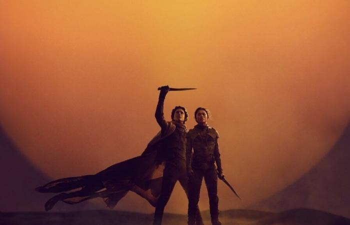 “It would become unhealthy” Denis Villeneuve confirms one of the fears of all fans with the release of the next film Dune