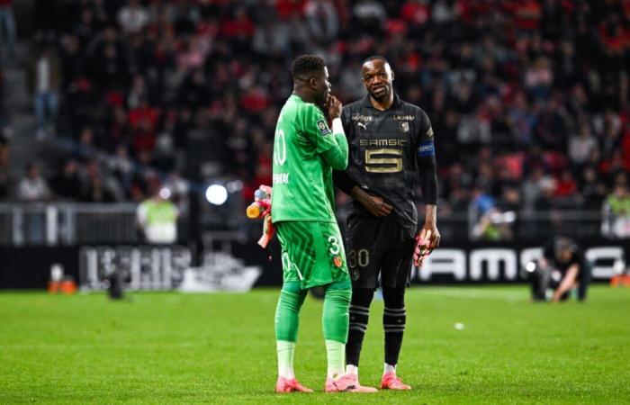 Samba-Mandanda: the secrets of a cordial understanding – Ligue 1 – J17 – Rennes-OM