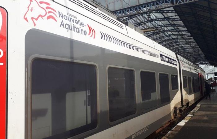 several TER and TGV trains delayed due to cable theft Friday evening