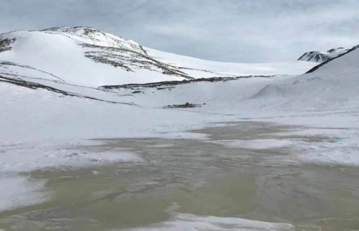 At the heart of Antarctica’s frozen Lake Enigma, something was hiding beneath 14 meters of ice—until today