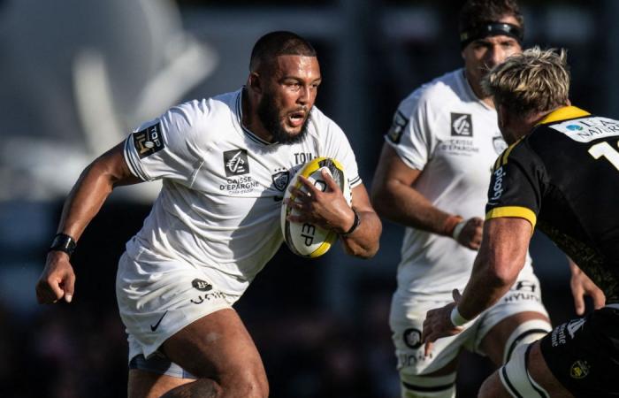 Champions Cup: Lewis Ludlam, the English warrior of the Harbor