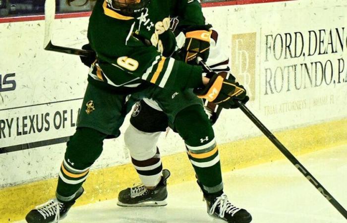 Clifton Park’s Fess caps homecoming by helping Clarkson women’s hockey beat Union | Sports