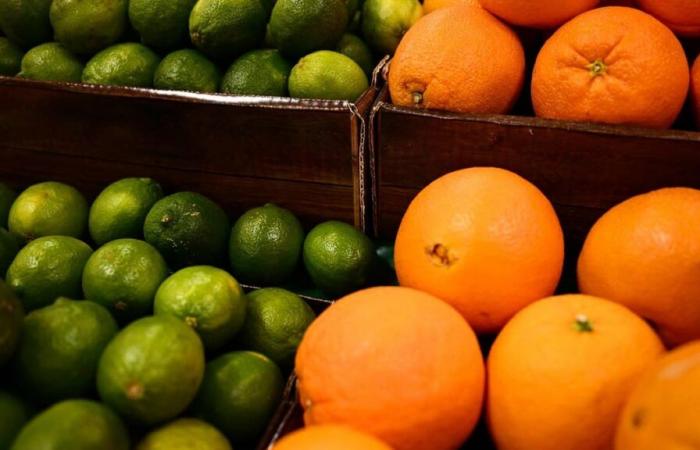 Canadian surcharge on oranges: what real impact on the price of juice?