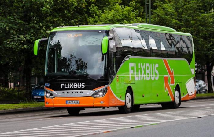 A 29-year-old woman and a 48-year-old man killed in a Flixbus bus accident