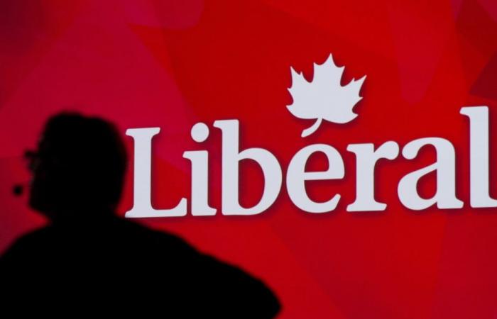 Leadership of the Liberal Party of Canada | Some obstacles in the race