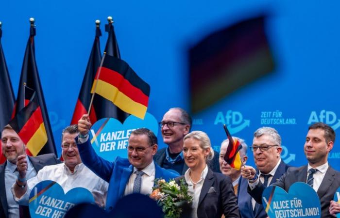 Before the German elections, the far right declines its project