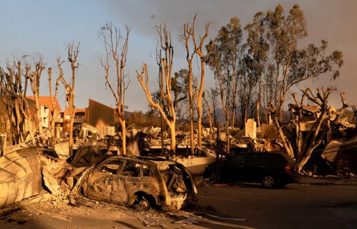 Los Angeles | Fires spread, death toll rises to 16