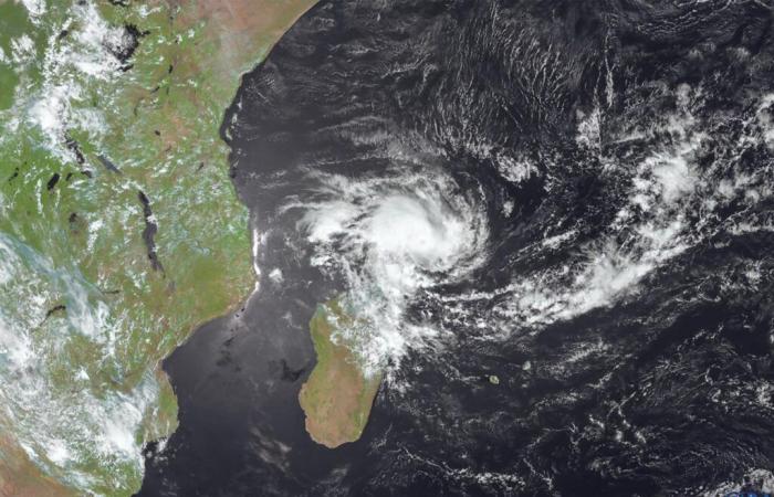 Mayotte placed on red alert since 10 p.m., as cyclone Dikeledi approaches