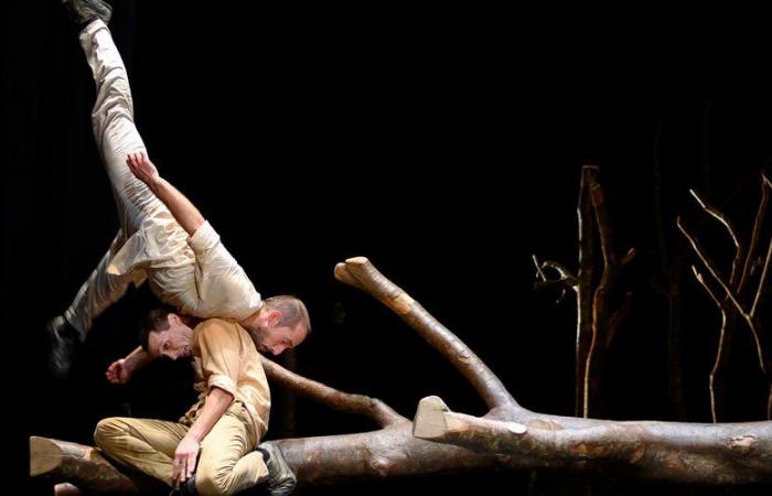 “Pour Hêtre”, a trio dance and circus show at Lavelanet-Culture