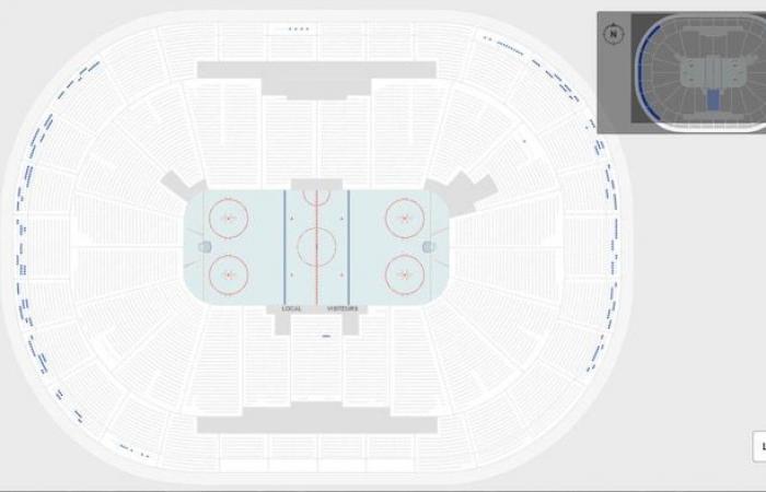 An almost full house for women’s hockey in Quebec