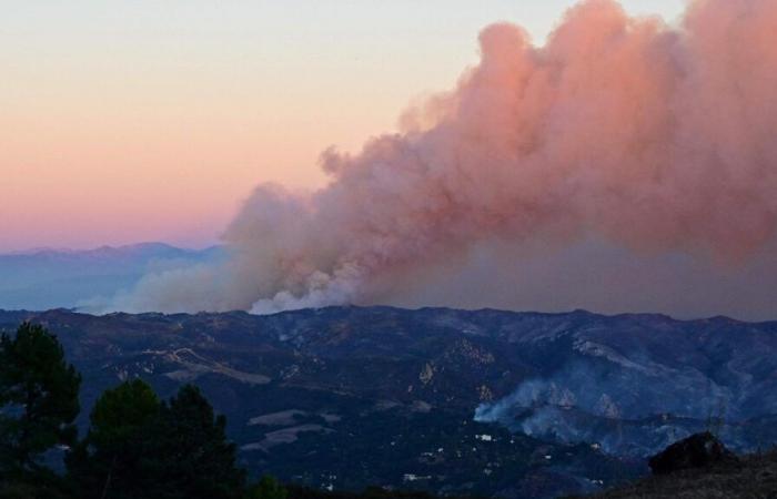 The Pope saddened by the fires ravaging Los Angeles