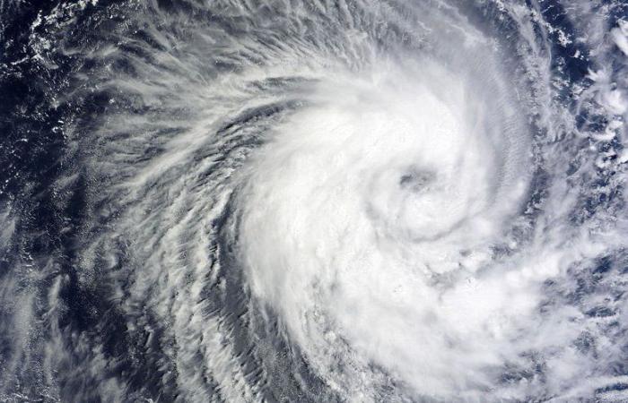 Cyclone Dikeledi: Mayotte will be on red alert at 8 p.m., how the archipelago is preparing for the extreme weather phenomenon