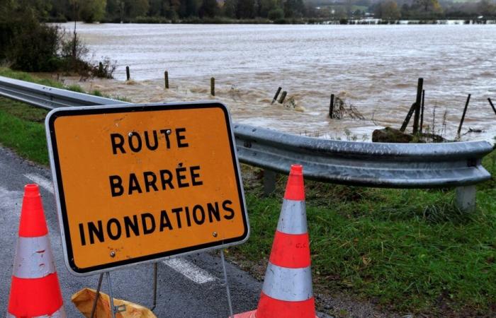 Flooding in Maine-et-Loire. Several rivers have exceeded the 2020 floods. – Angers Info